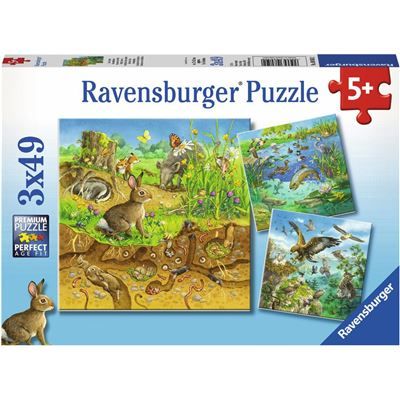 Spiel 6081.0